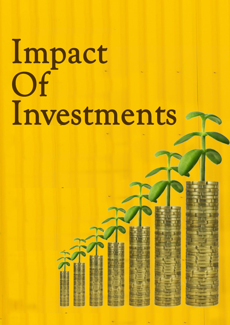 impact of investment